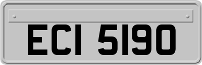 ECI5190