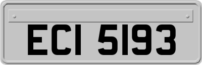 ECI5193