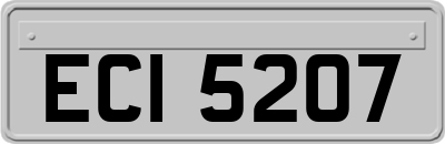 ECI5207