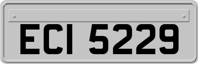 ECI5229