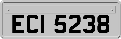 ECI5238