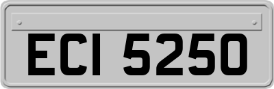 ECI5250