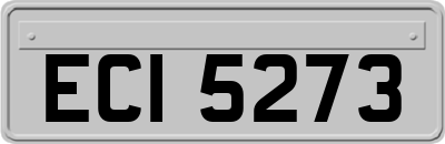 ECI5273