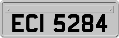 ECI5284