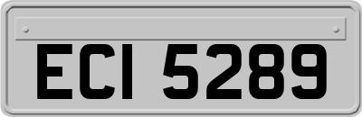 ECI5289