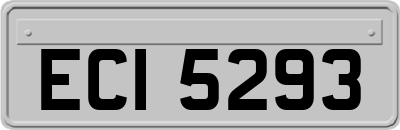 ECI5293
