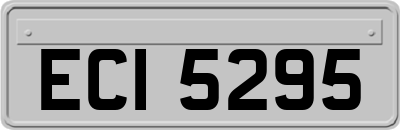 ECI5295