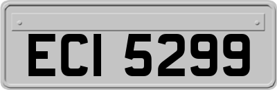 ECI5299