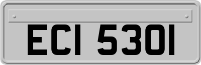 ECI5301