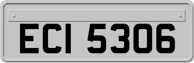 ECI5306
