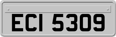 ECI5309