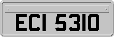 ECI5310