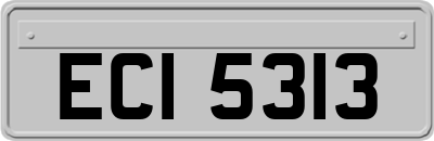 ECI5313