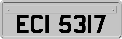 ECI5317