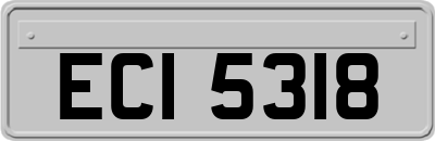 ECI5318