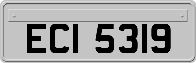 ECI5319