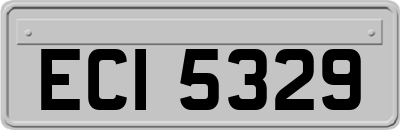 ECI5329
