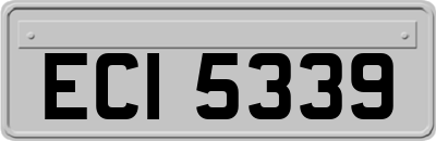 ECI5339