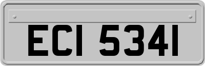 ECI5341