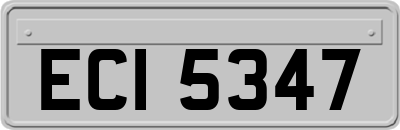 ECI5347