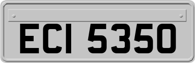 ECI5350