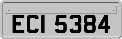 ECI5384
