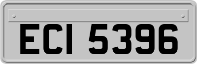 ECI5396
