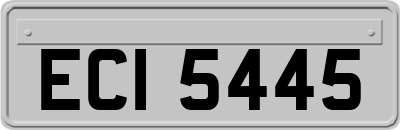 ECI5445