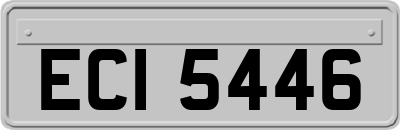 ECI5446