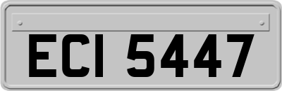 ECI5447