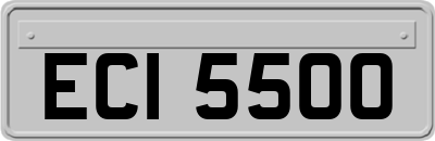 ECI5500
