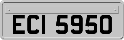 ECI5950