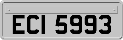 ECI5993