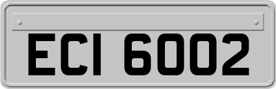 ECI6002
