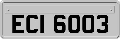 ECI6003