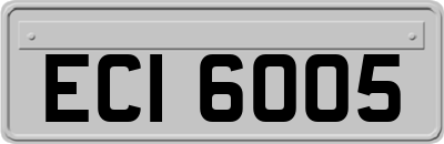 ECI6005