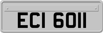 ECI6011
