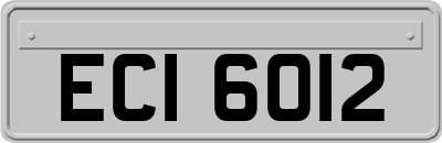 ECI6012