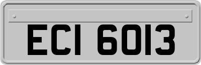 ECI6013
