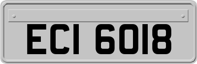 ECI6018
