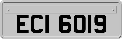 ECI6019