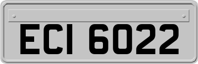 ECI6022