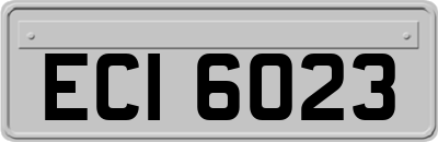 ECI6023