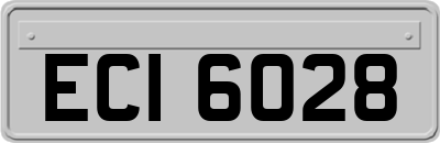 ECI6028