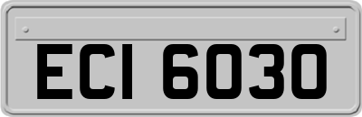 ECI6030
