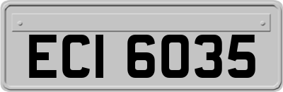 ECI6035