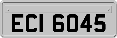 ECI6045