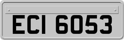 ECI6053
