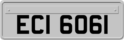 ECI6061