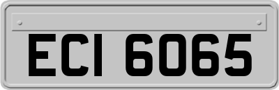 ECI6065